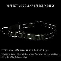 PLUTUS PET collar con visibilidad nocturna para mayor seguridad
