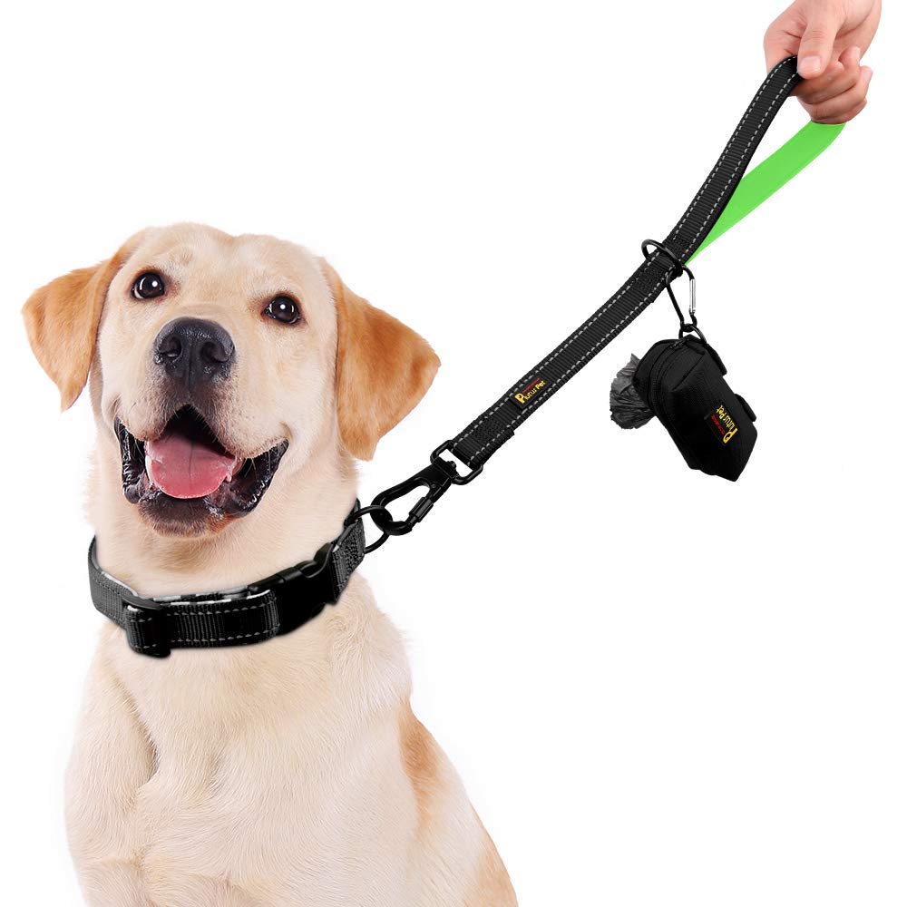 PLUTUS PET mosquetón seguro para paseos confiables