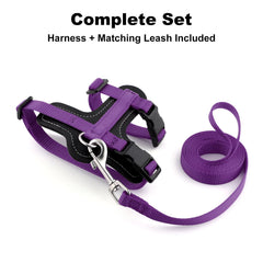 Correa Plutus Pet - correa-gato-paseos, compatible con arnés para salidas diarias.