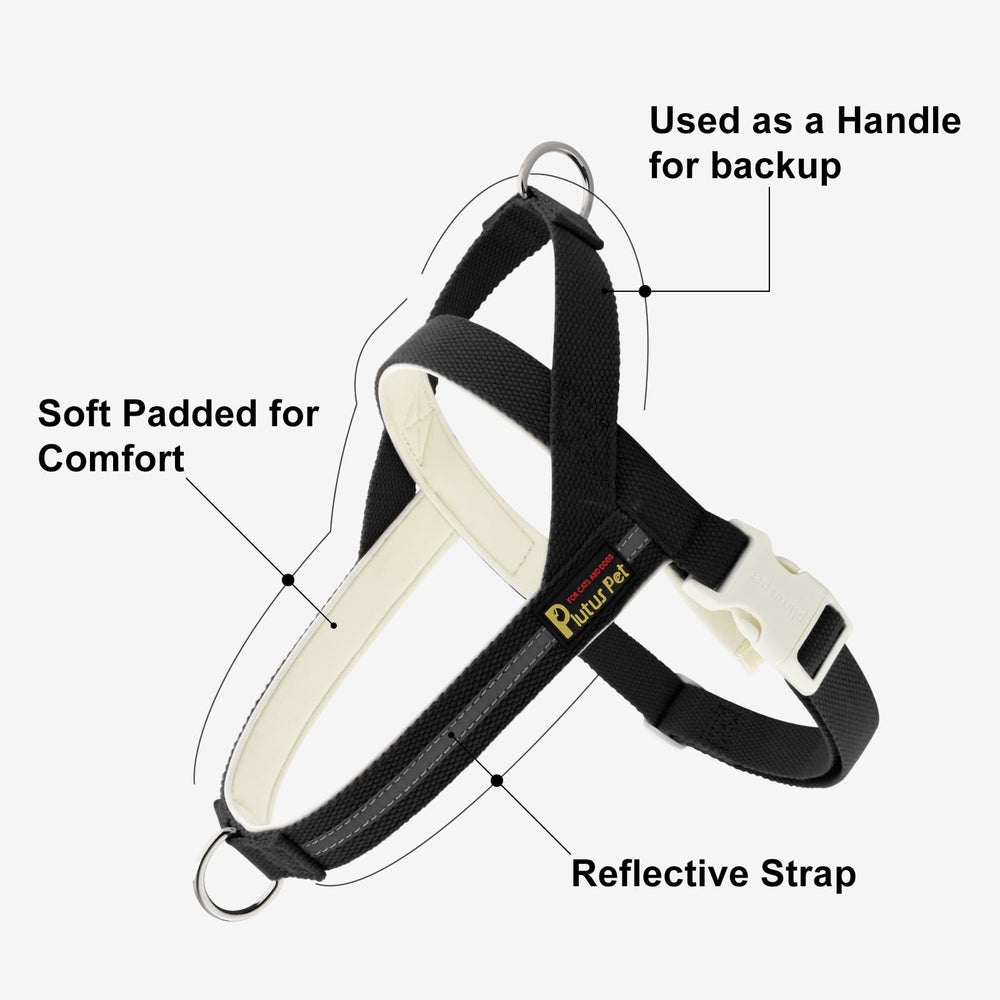Correa PLUTUS PET de 150 cm para paseos cómodos y controlados.