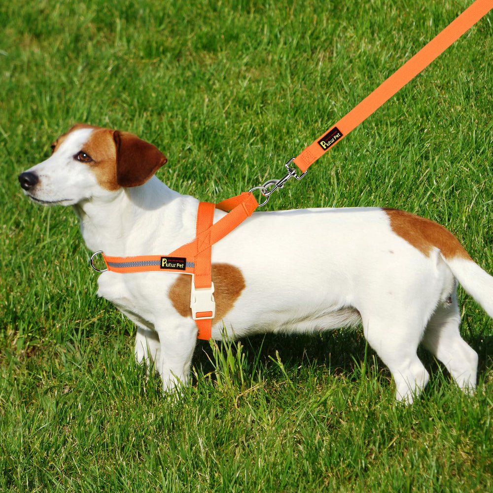 Mango ergonómico acolchado Plutus Pet para agarre cómodo.