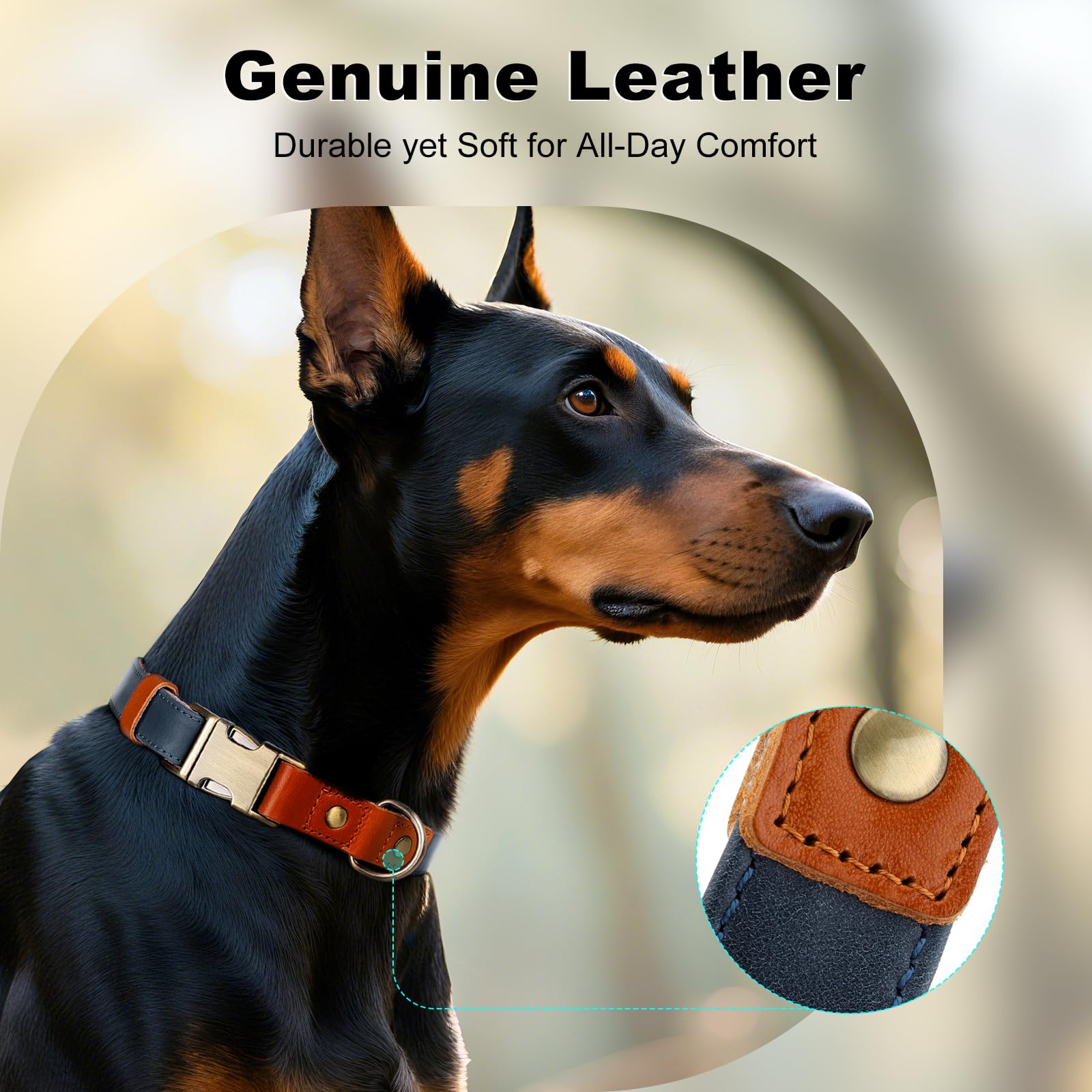 Plutus Pet detalle-hardware-fuerte para perros activos