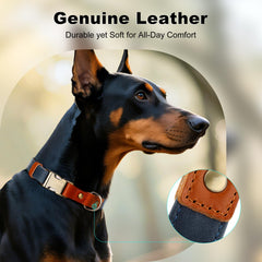 Plutus Pet detalle-hardware-fuerte para perros activos