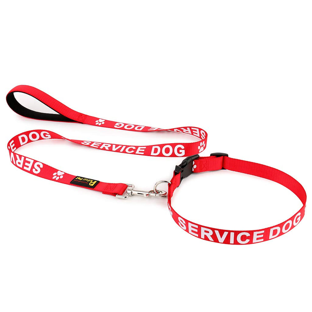 PLUTUS PET diseño de alta visibilidad en rojo y azul