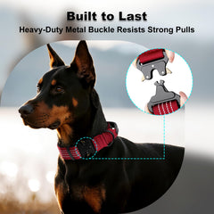 PLUTUS PET hebilla de metal resistente para perros activos durante entrenamientos.