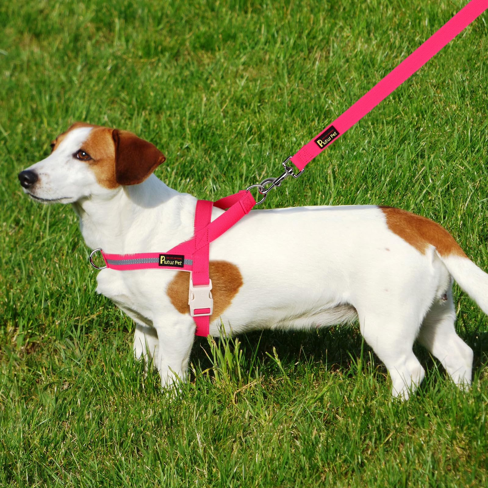 PLUTUS PET manija acolchada ergonómica para un agarre cómodo
