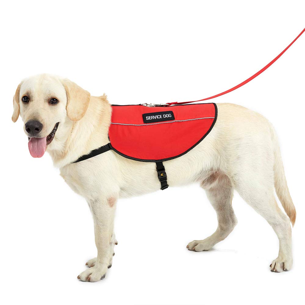 PLUTUS PET parches servicio perro removibles, facilita indicar que está trabajando.