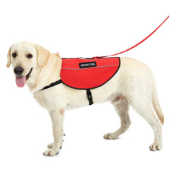 PLUTUS PET parches servicio perro removibles, facilita indicar que está trabajando.