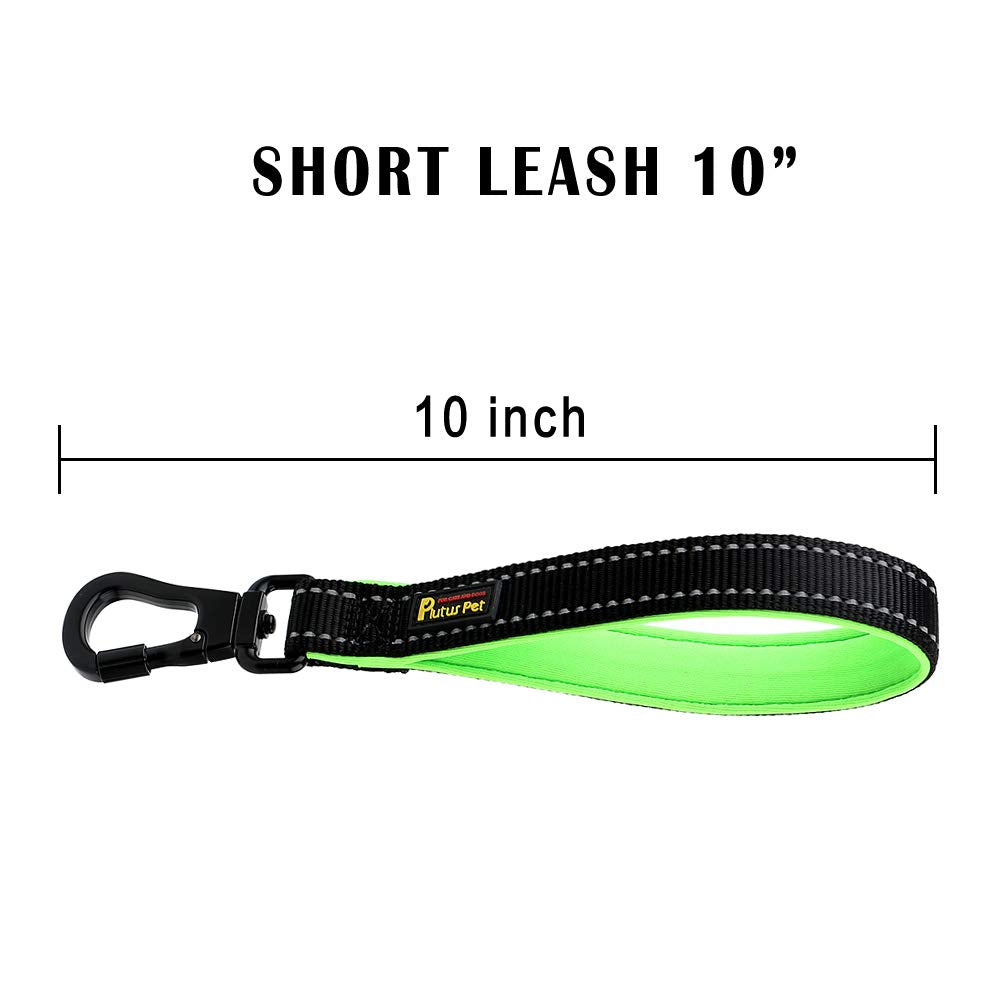 PLUTUS PET paseo nocturno con iluminación suave para seguridad.