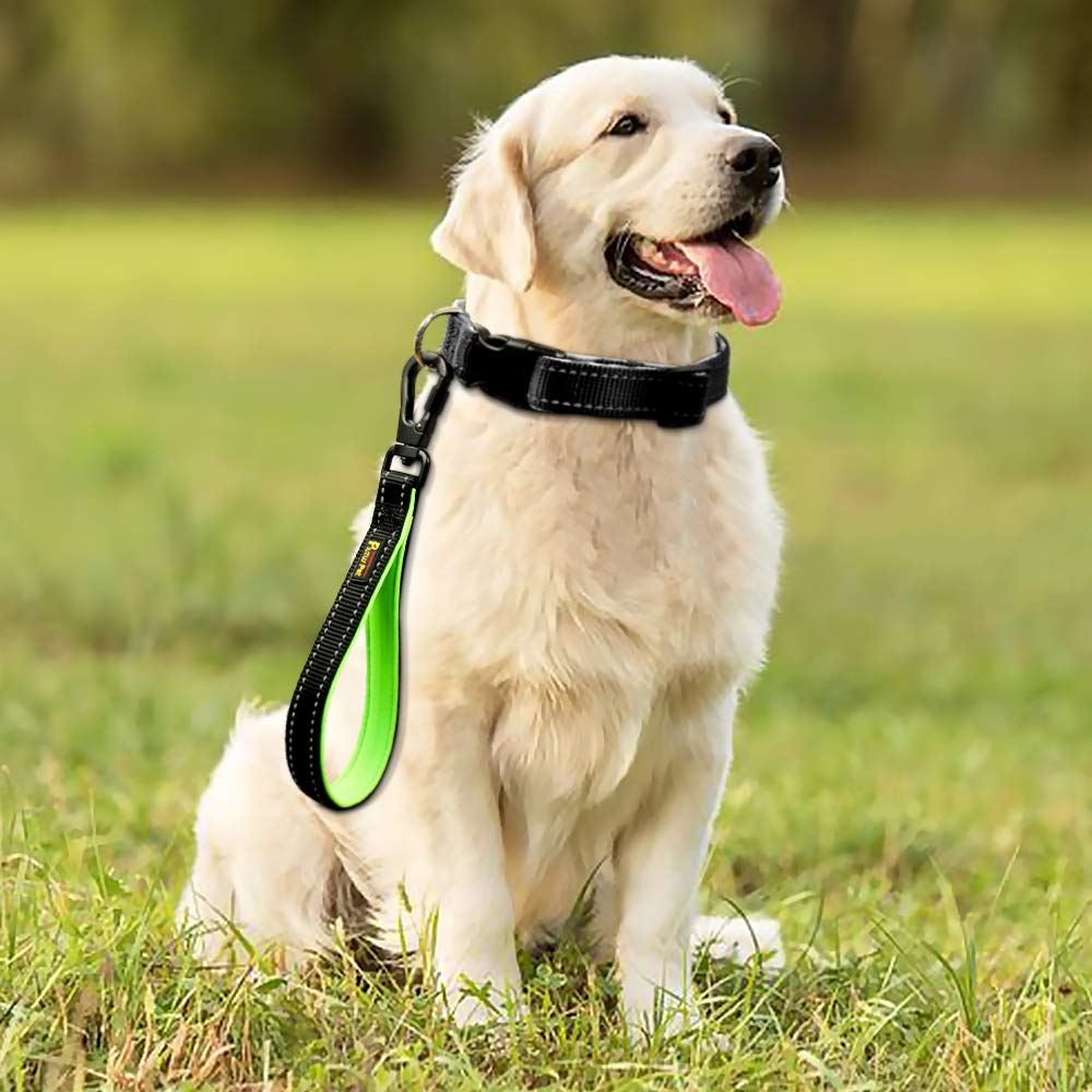 PLUTUS PET uso en entrenamiento para perros grandes y adiestradores.