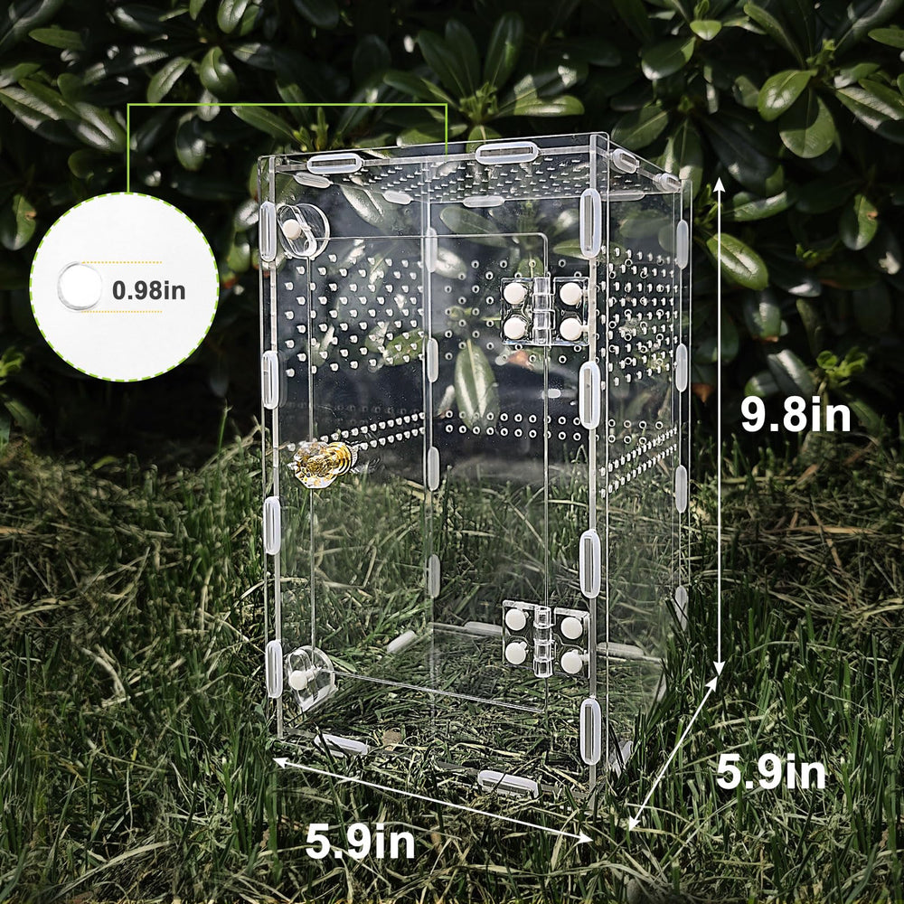 plzzree caja acrílica araña-saltadora ventilacion con aire fresco.