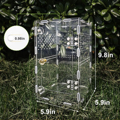 plzzree caja acrílica araña-saltadora ventilacion con aire fresco.