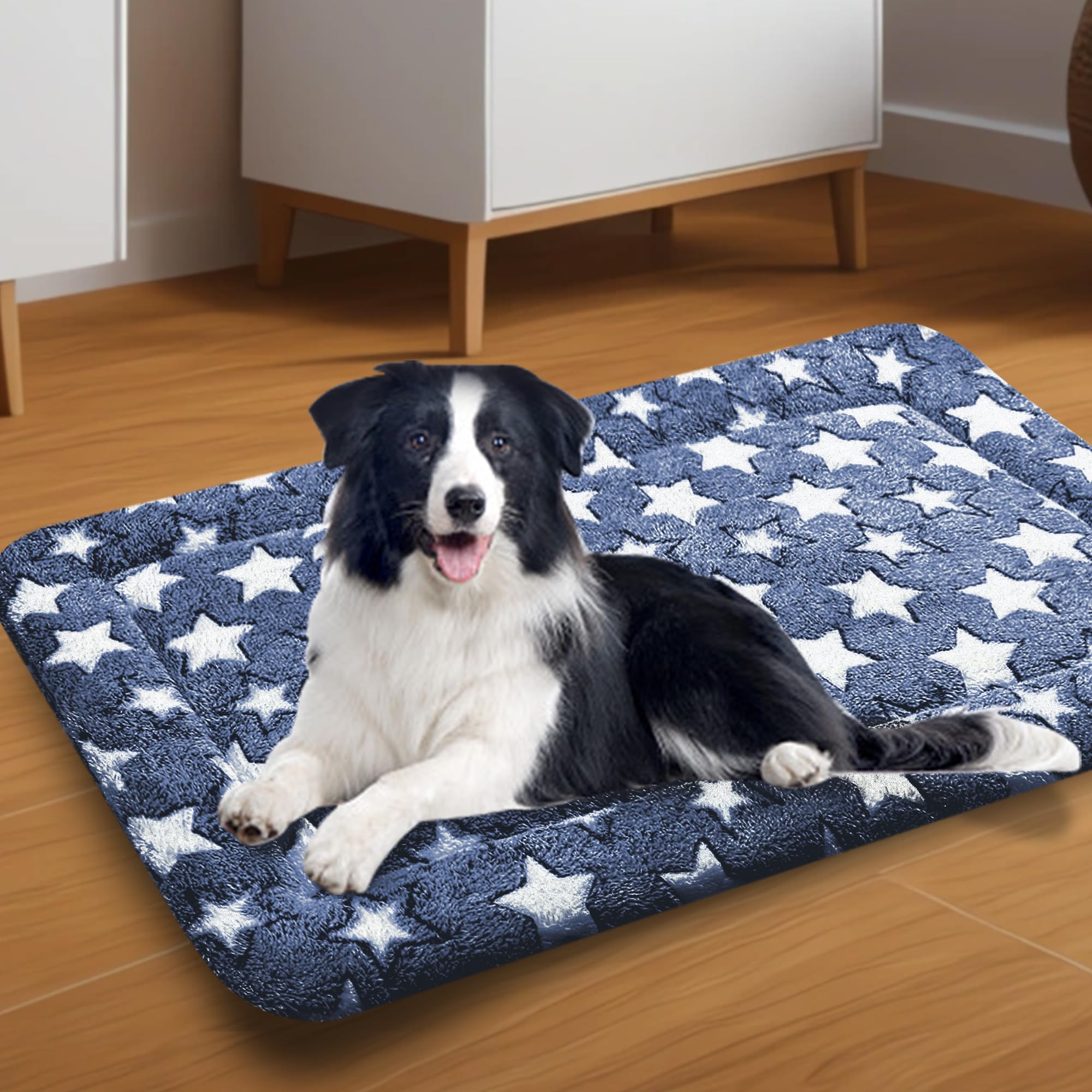 Pobopobo cama perro jaula multiuso, ideal para transporte.