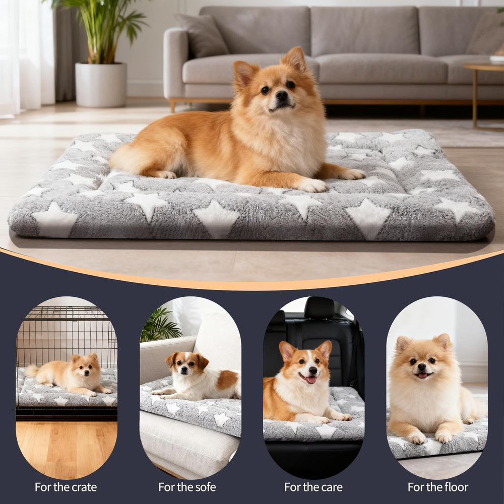 Cama pobopobo tamaño 24x18x1,5 pulgadas para perros pequeños.