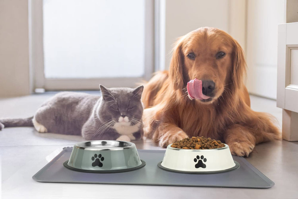 Podinor juego de 2 platos apilables para perros, ahorro de espacio en casa