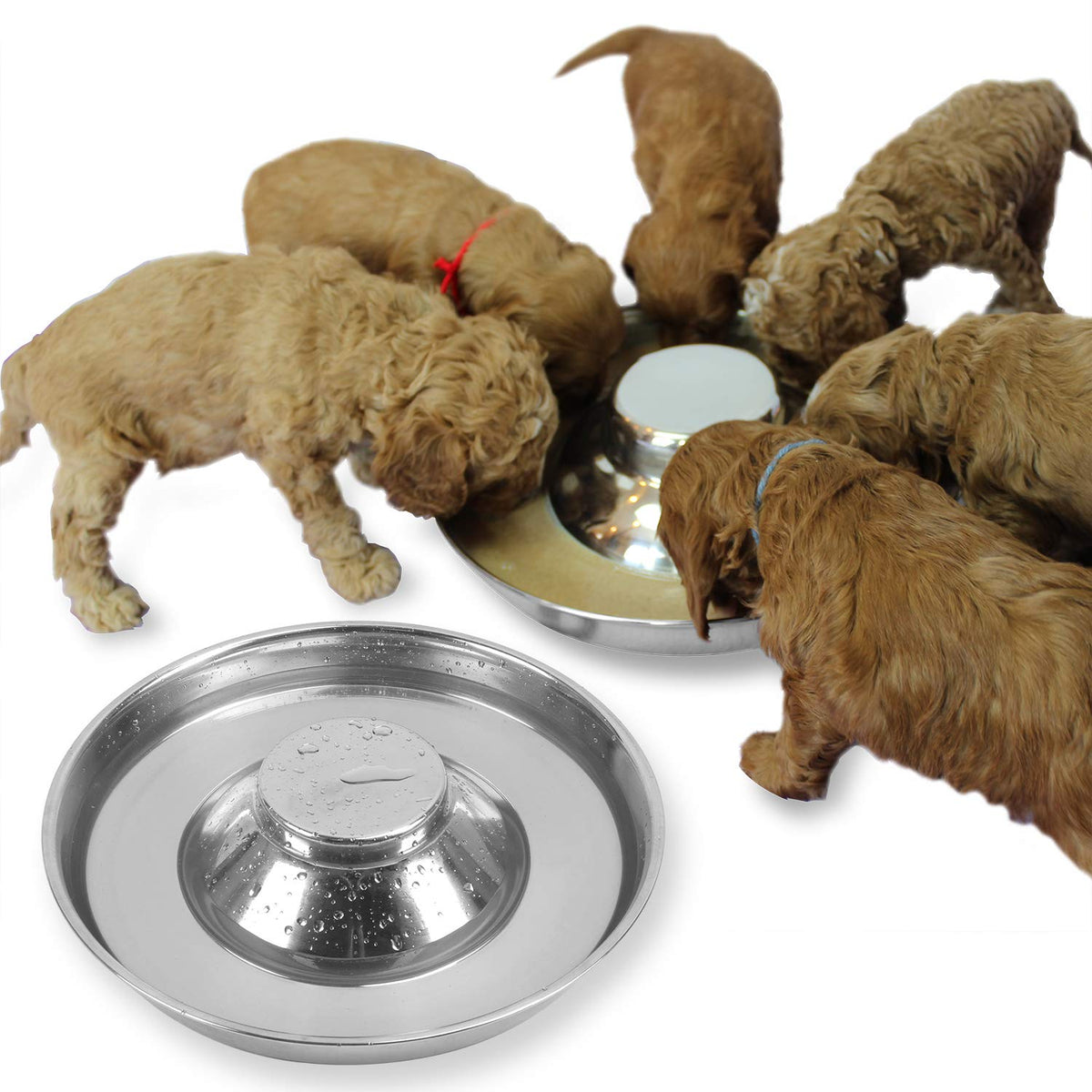 Podinor tazones para perros en acero inoxidable, dos unidades, duraderos y fáciles de limpiar para comida y agua