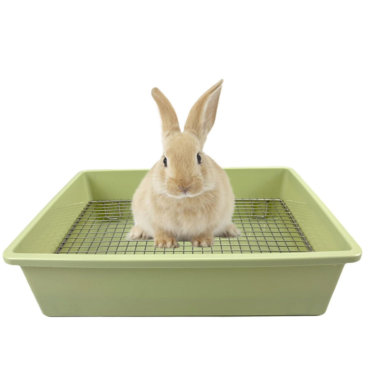 PODOO caja higiénica para conejo grande, diseño espacioso para desechos.
