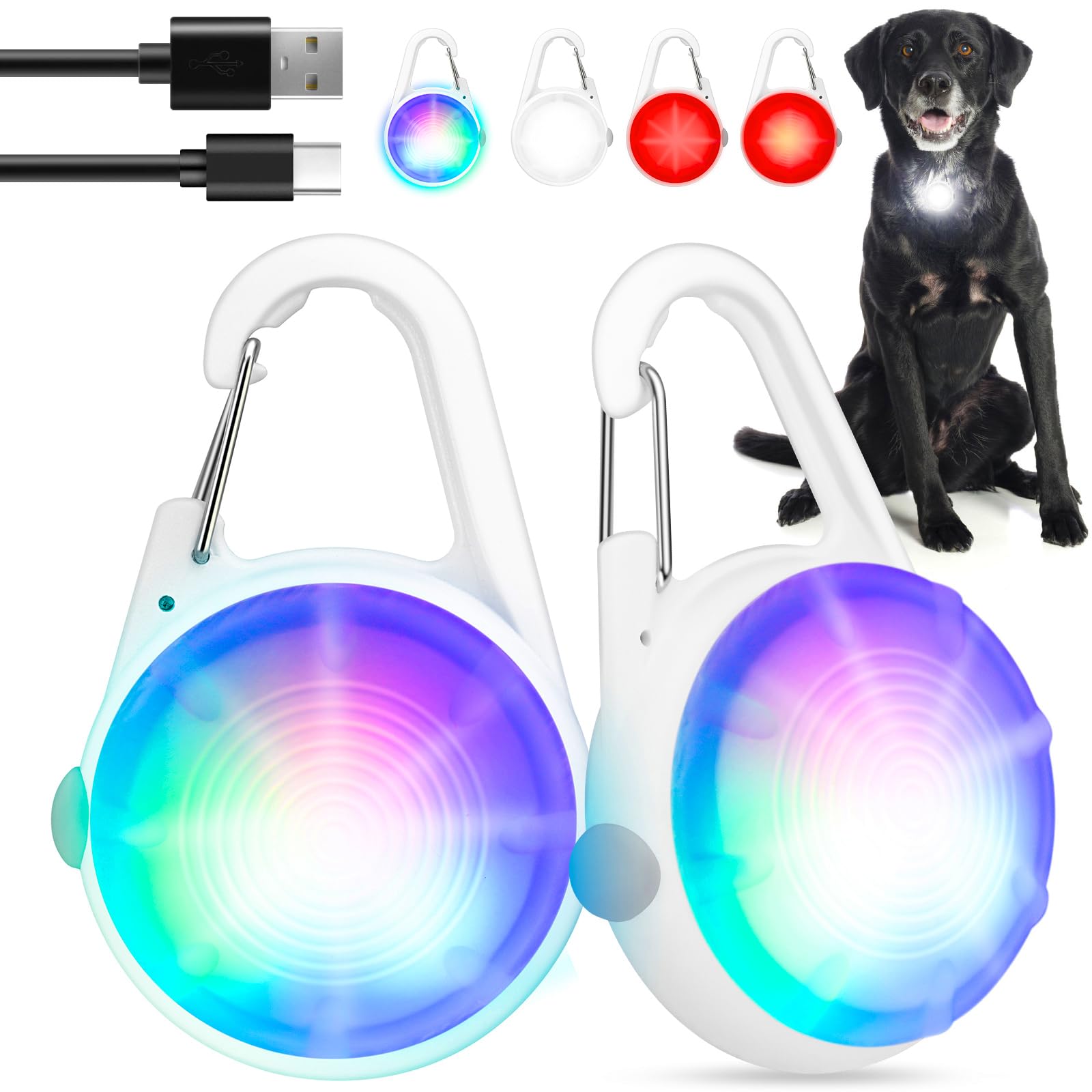 POEEY luz para collar de perro en paseo nocturno, clip seguro para visibilidad