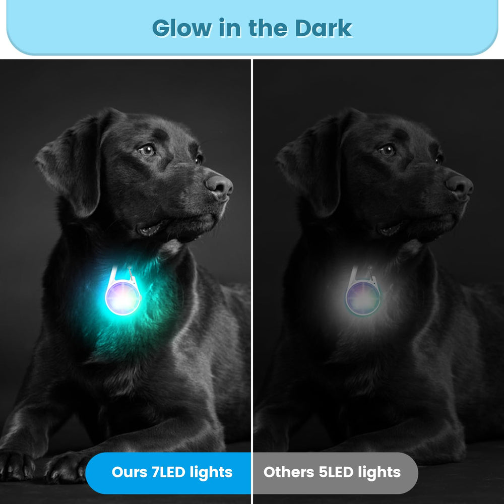 POEEY iluminación RGB para perro, ideal para camping y mochila