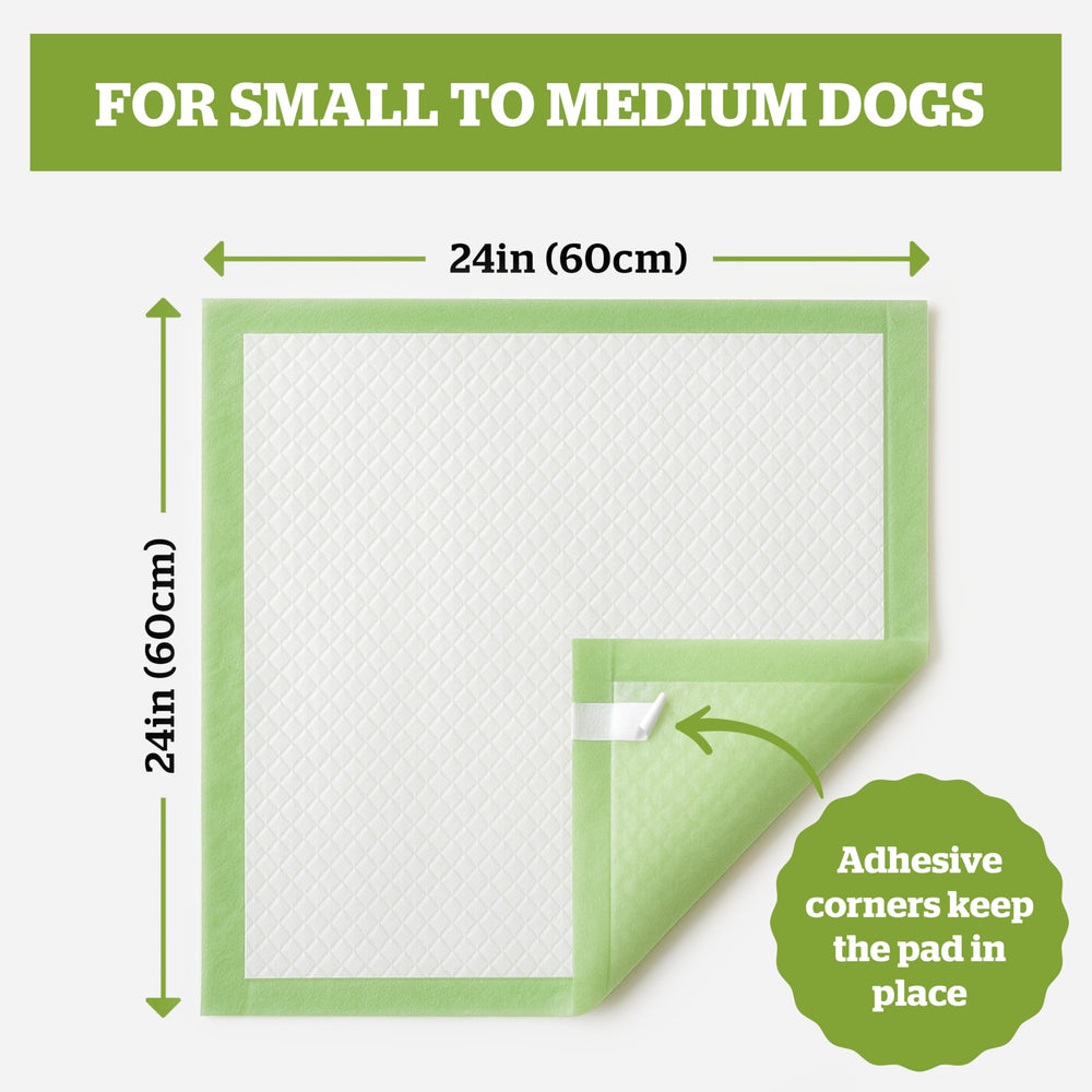 Pogi’s almohadillas para perros: 6 capas absorbentes para mayor protección.