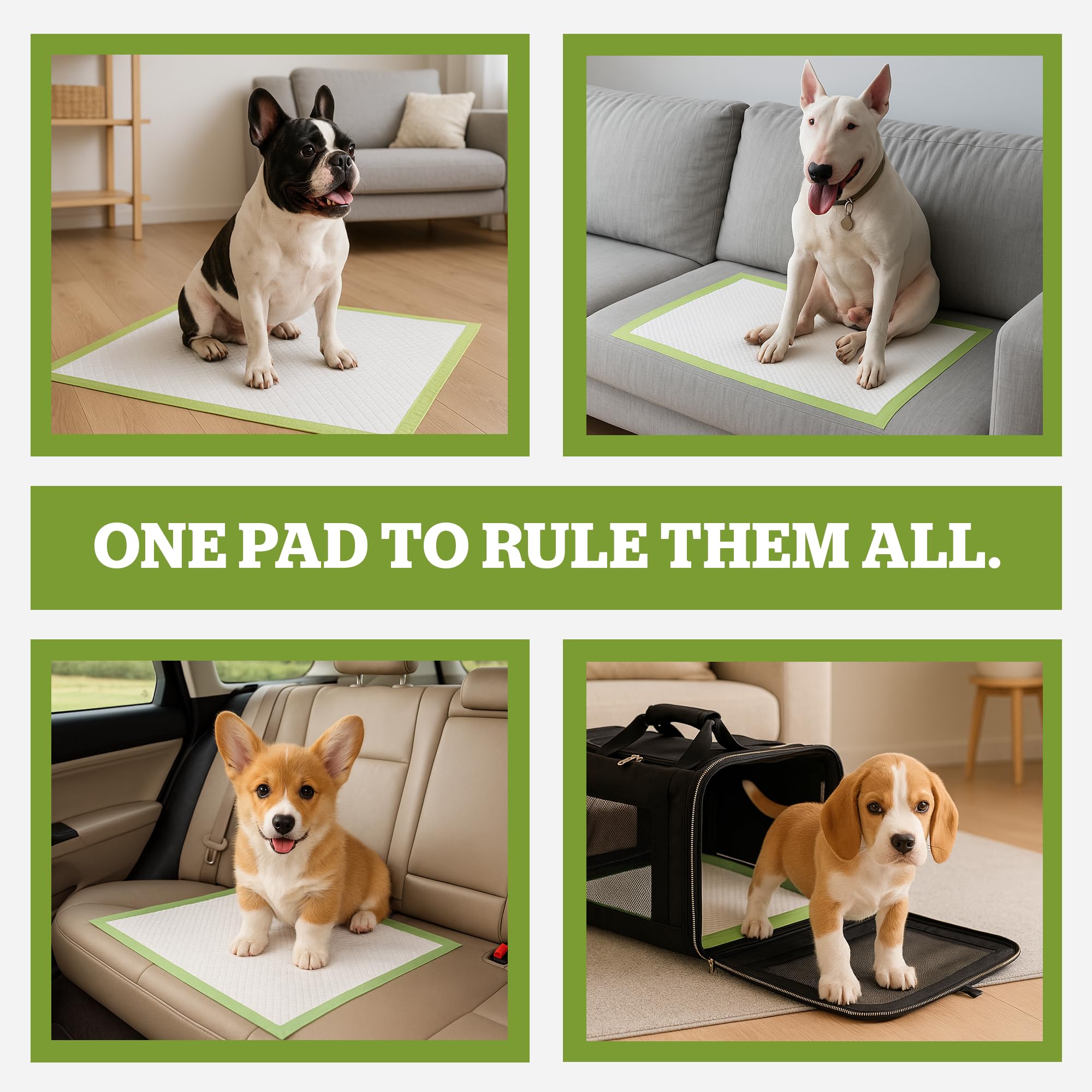 Pogi’s almohadillas para perros: control de olores para interiores más limpios.