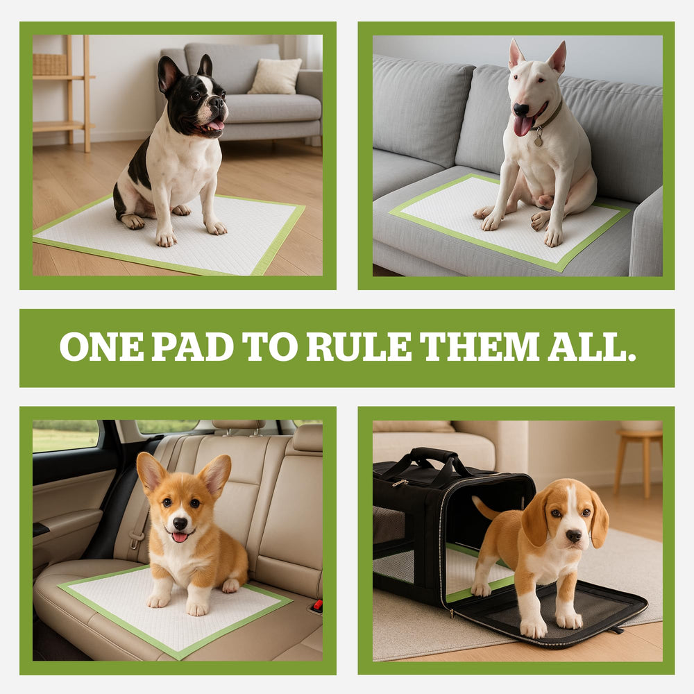 Pogi’s almohadillas para perros: control de olores para interiores más limpios.