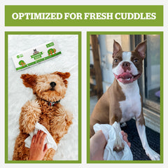 Pogi’s Dog Wipes para cuerpo: higiene y brillo suave del pelaje.