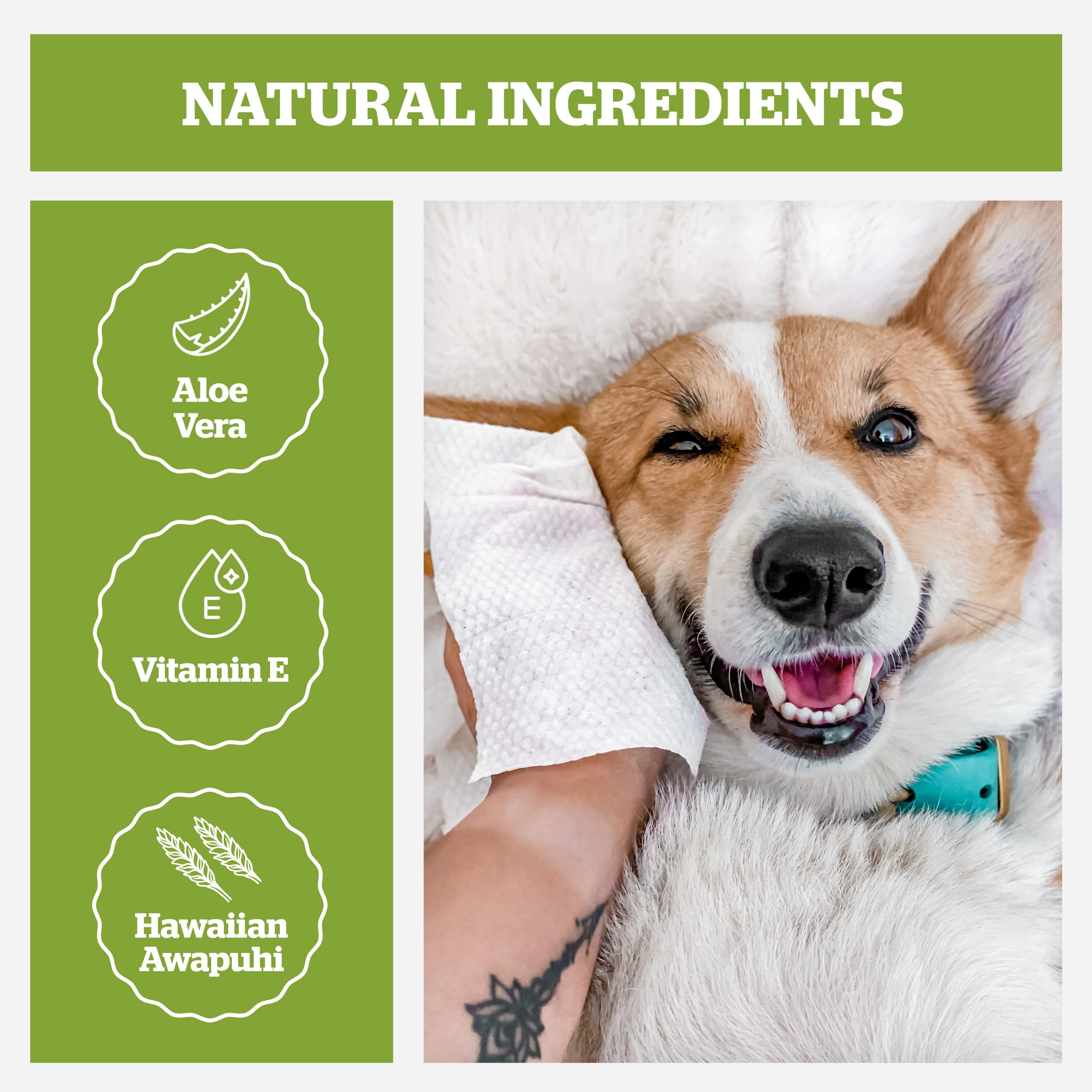Pogi’s Dog Wipes Travel Packs: textura duradera para limpiar patas y cuerpo