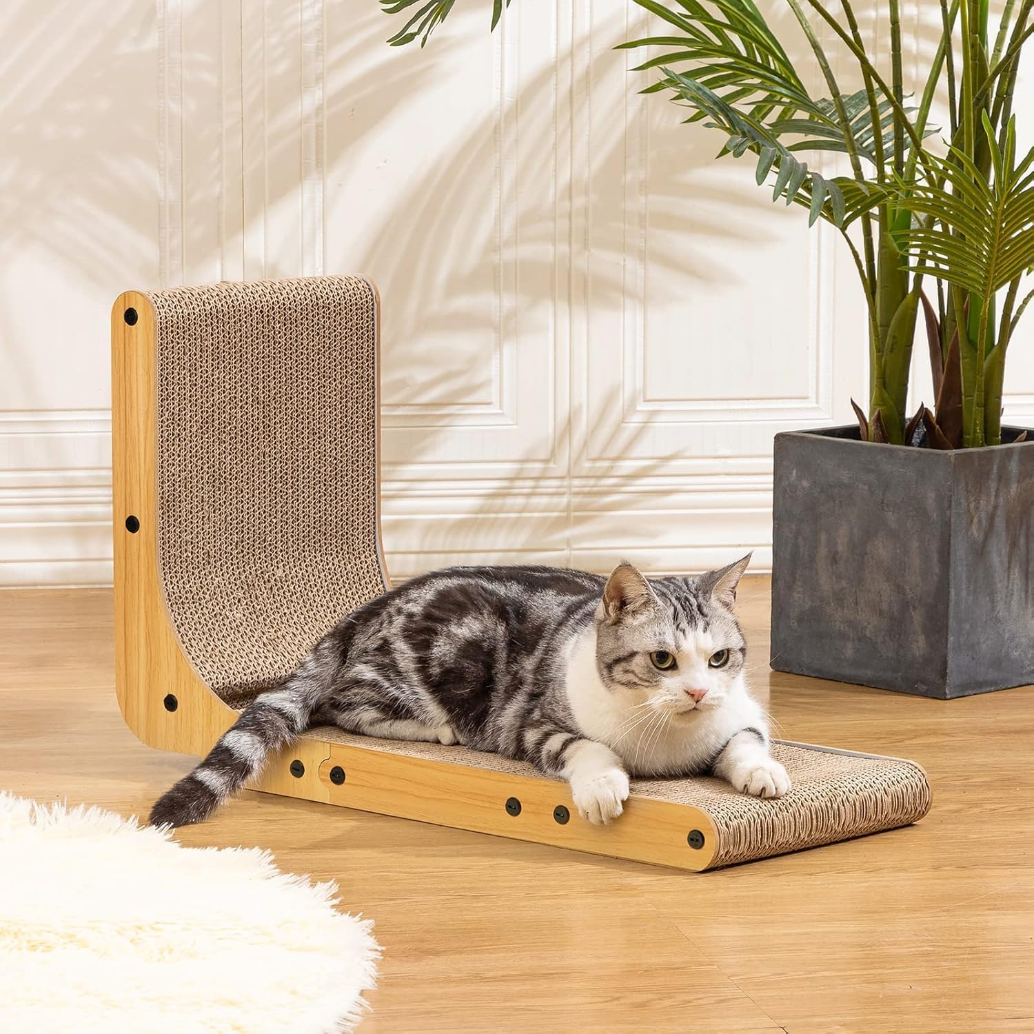 Poils bebe rascador de pared para proteger muebles