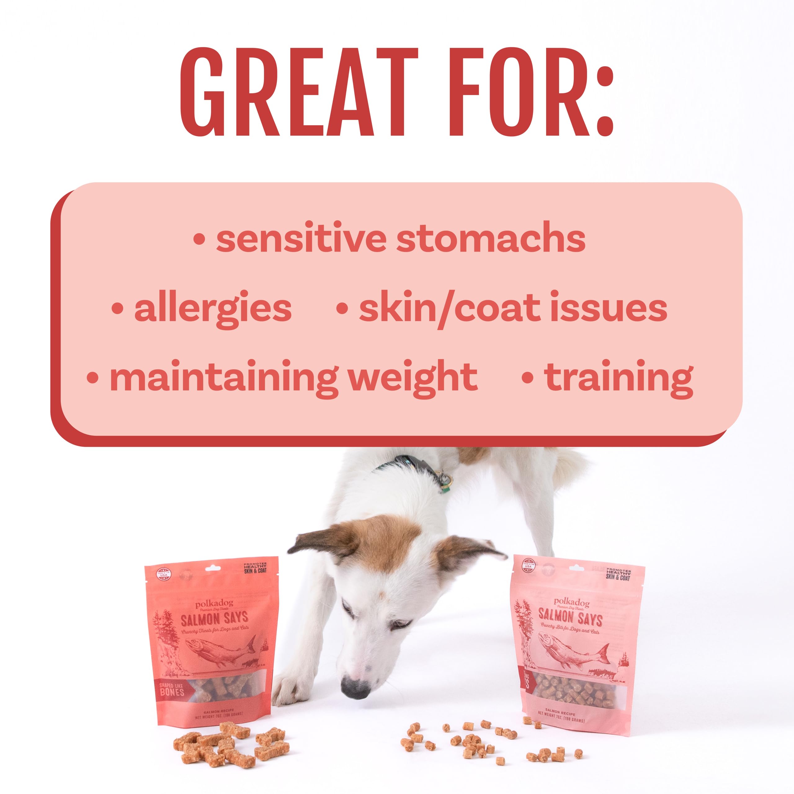 Polkadog Salmón Says apto para todas las razas y edades de perros.