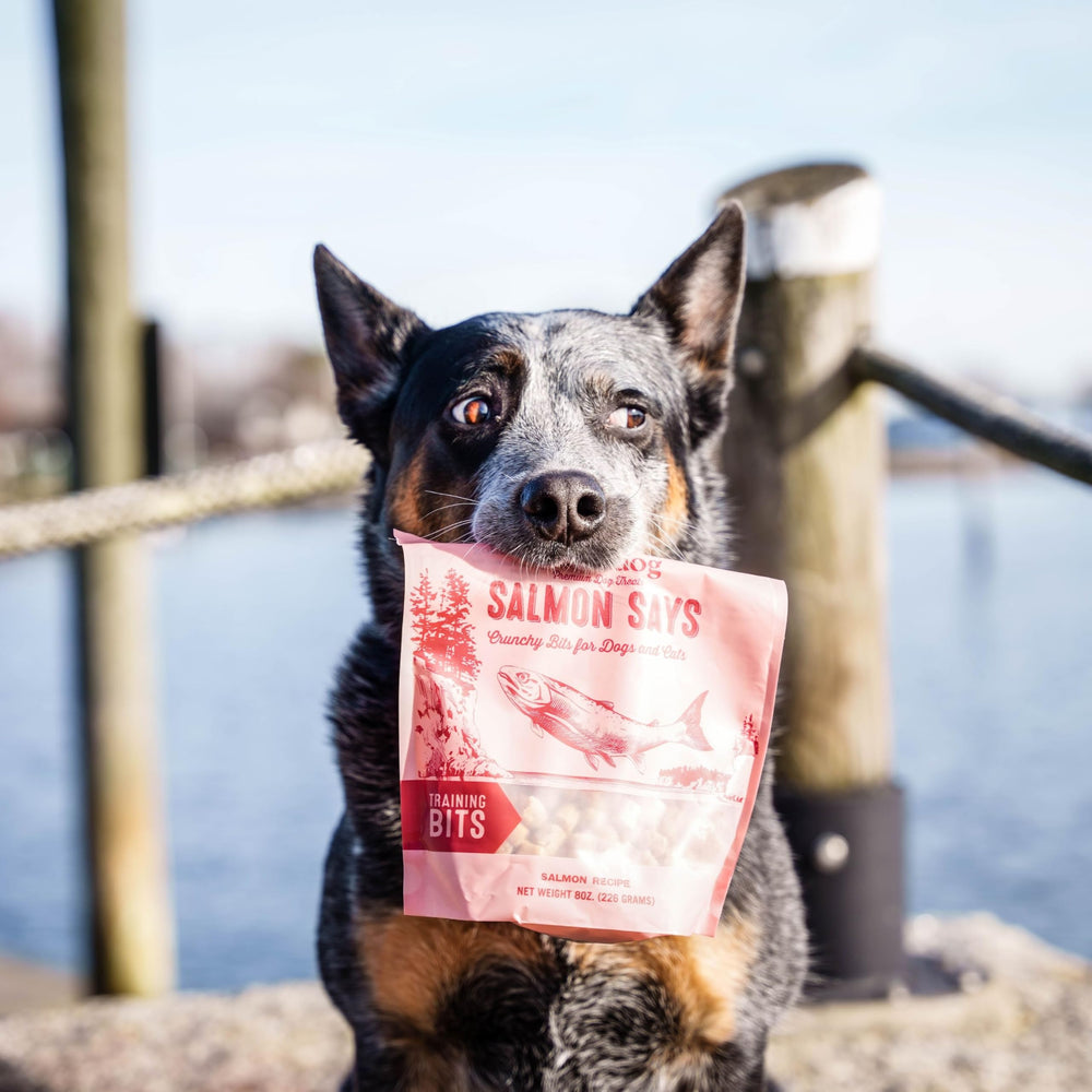 Polkadog Salmón Says perfectos para refuerzo positivo durante entrenamiento.