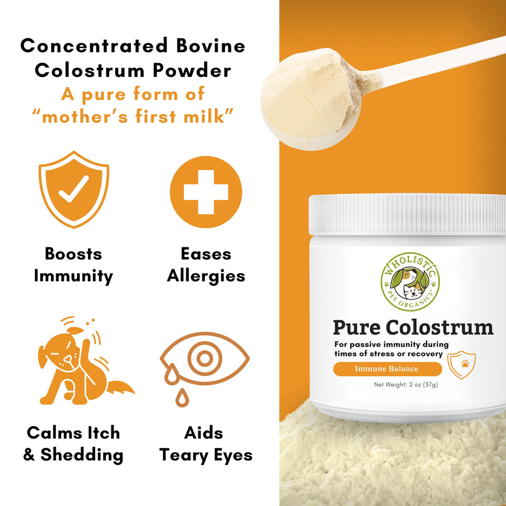 Polvo blanco de Colostrum Wholistic listo para disolver en comida