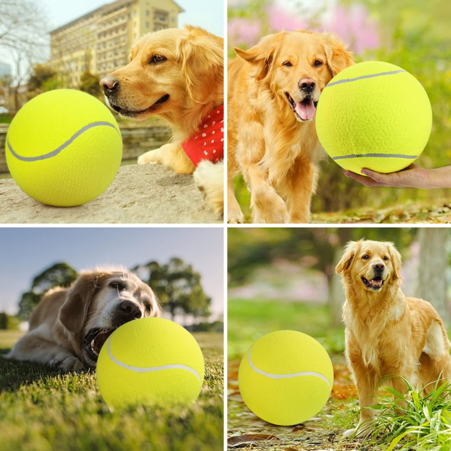 Pomeat paquete con dos pelotas para jugar.