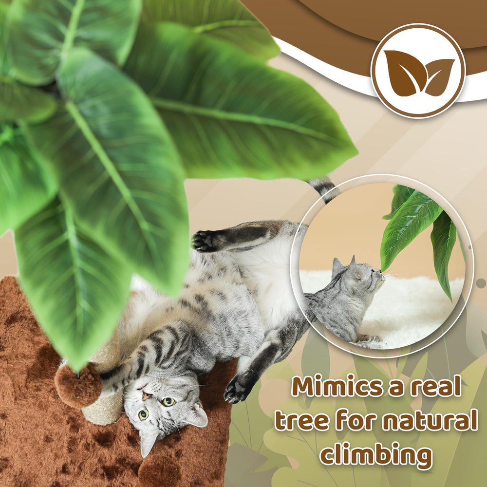 Pomesea uso en interiores, ideal para gatos de todas las edades