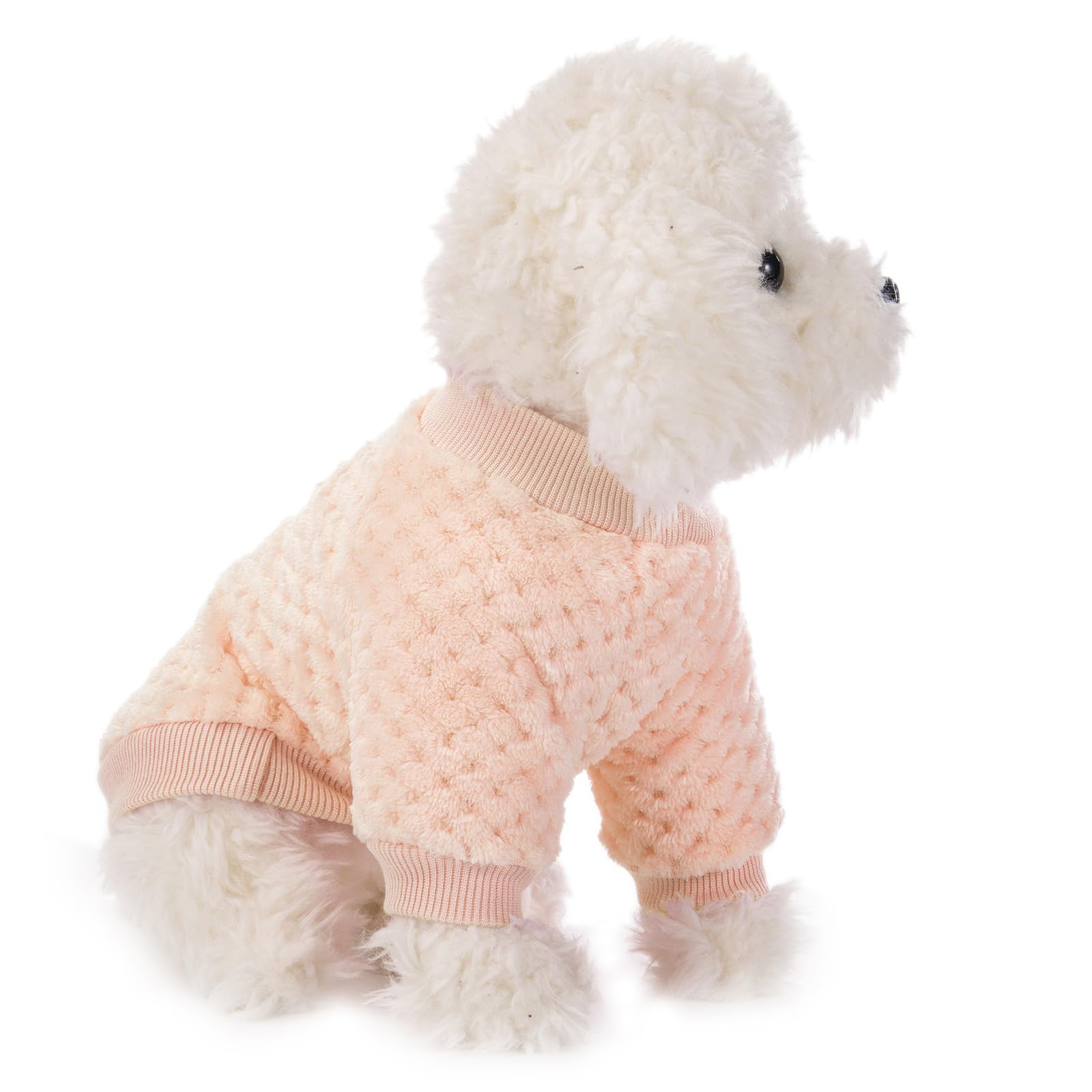 Guía de tallas de POMIU para perros y gatos pequeños.