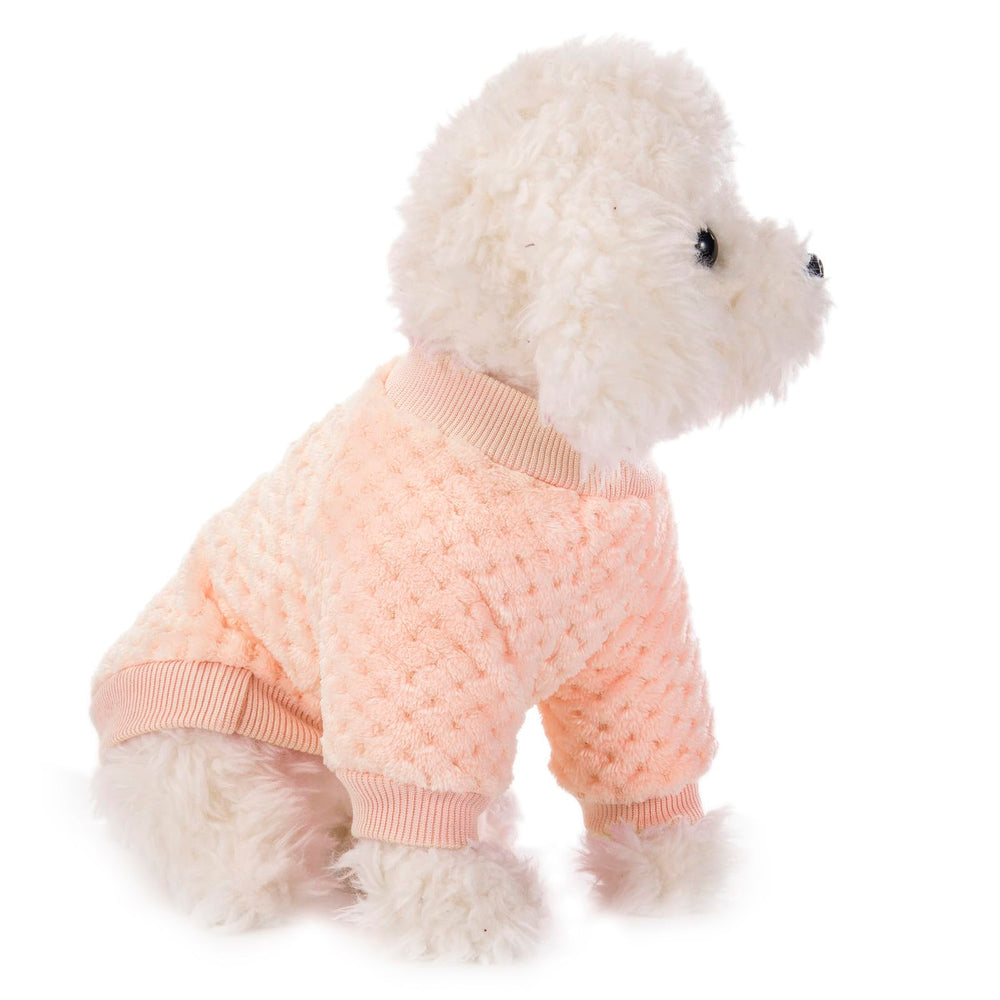 Guía de tallas de POMIU para perros y gatos pequeños.