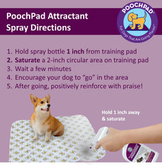 PoochPad aplicación paso a paso para consistencia diaria en entrenamientos.