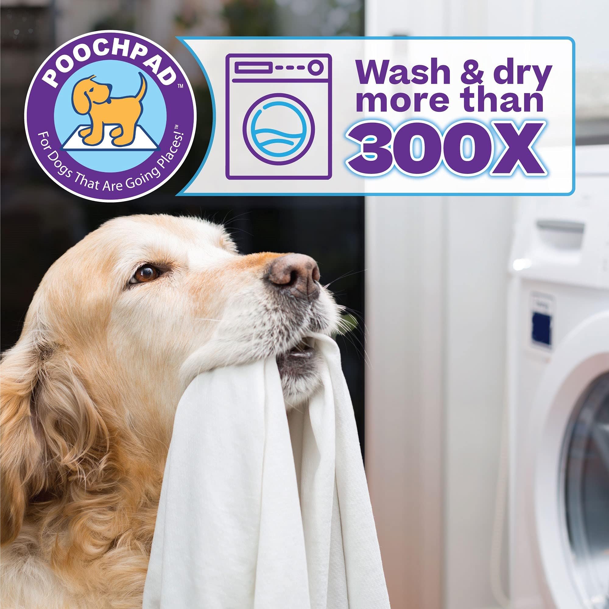 PoochPad Original, diseño compacto para uso en casa con perros.