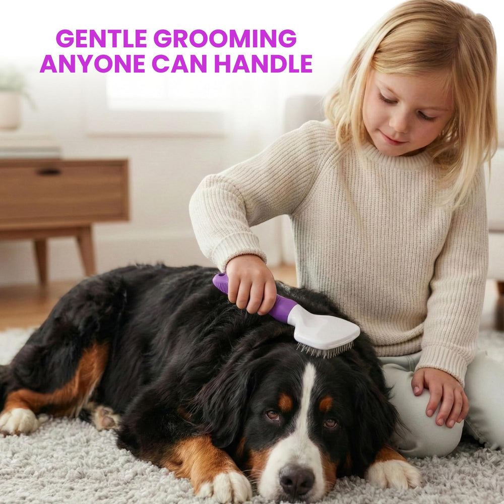 POODLIE cepillo para uso en casa y pelo suelto.