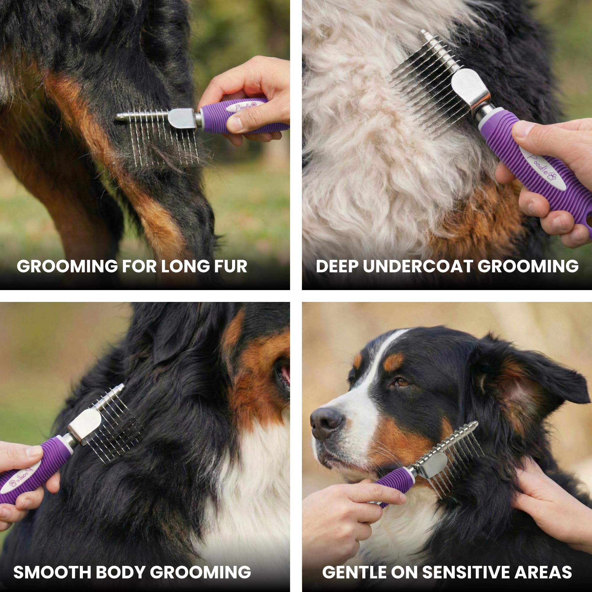 POODLIE Ideal para grooming diario en casa