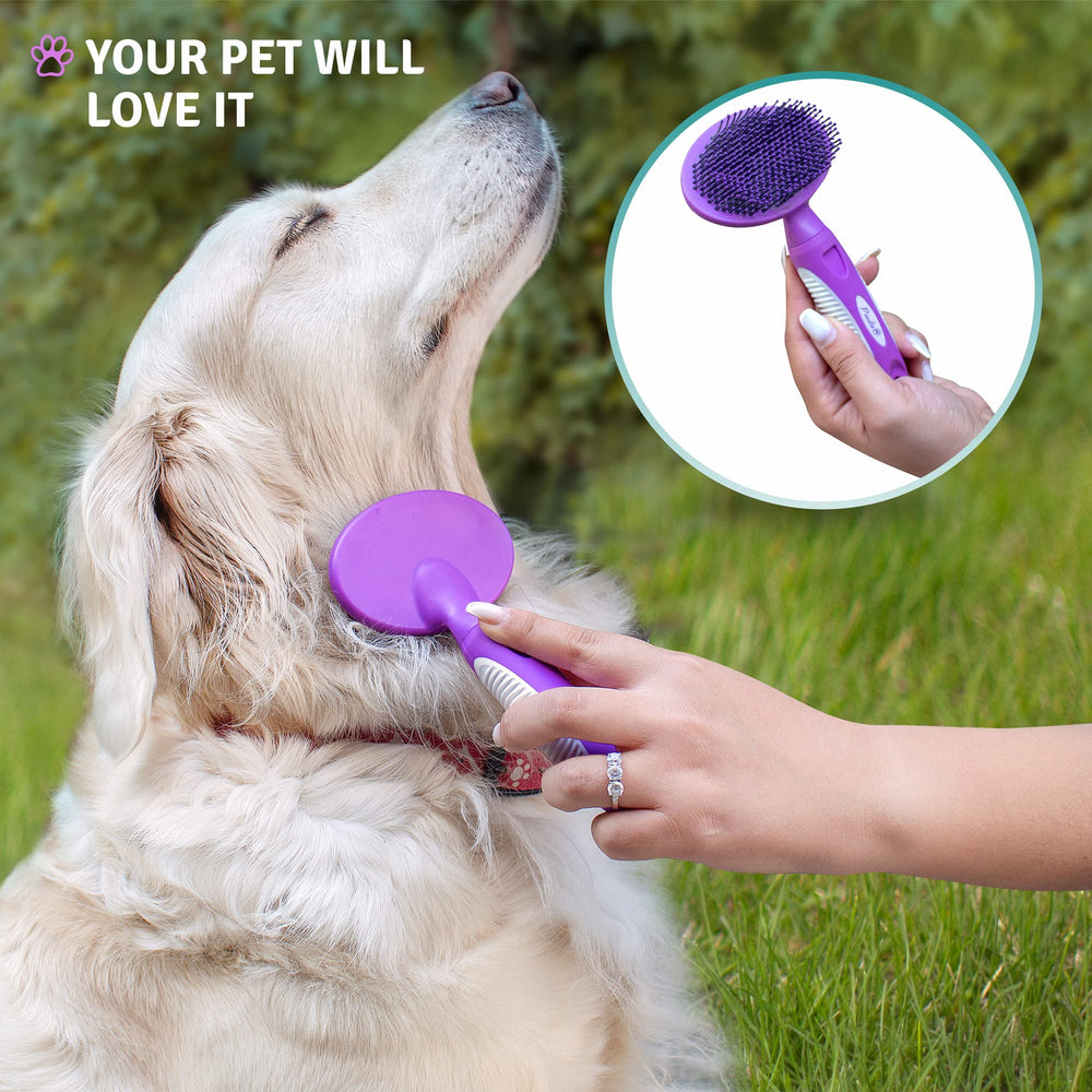 POODLIE almacenamiento sencillo con hueco de colgar cerca de área de grooming.