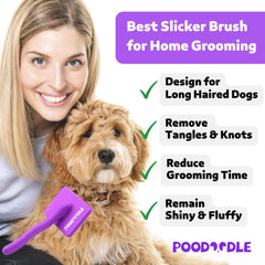 Poodoodle Slicker con desenredo eficiente para pelaje largo.