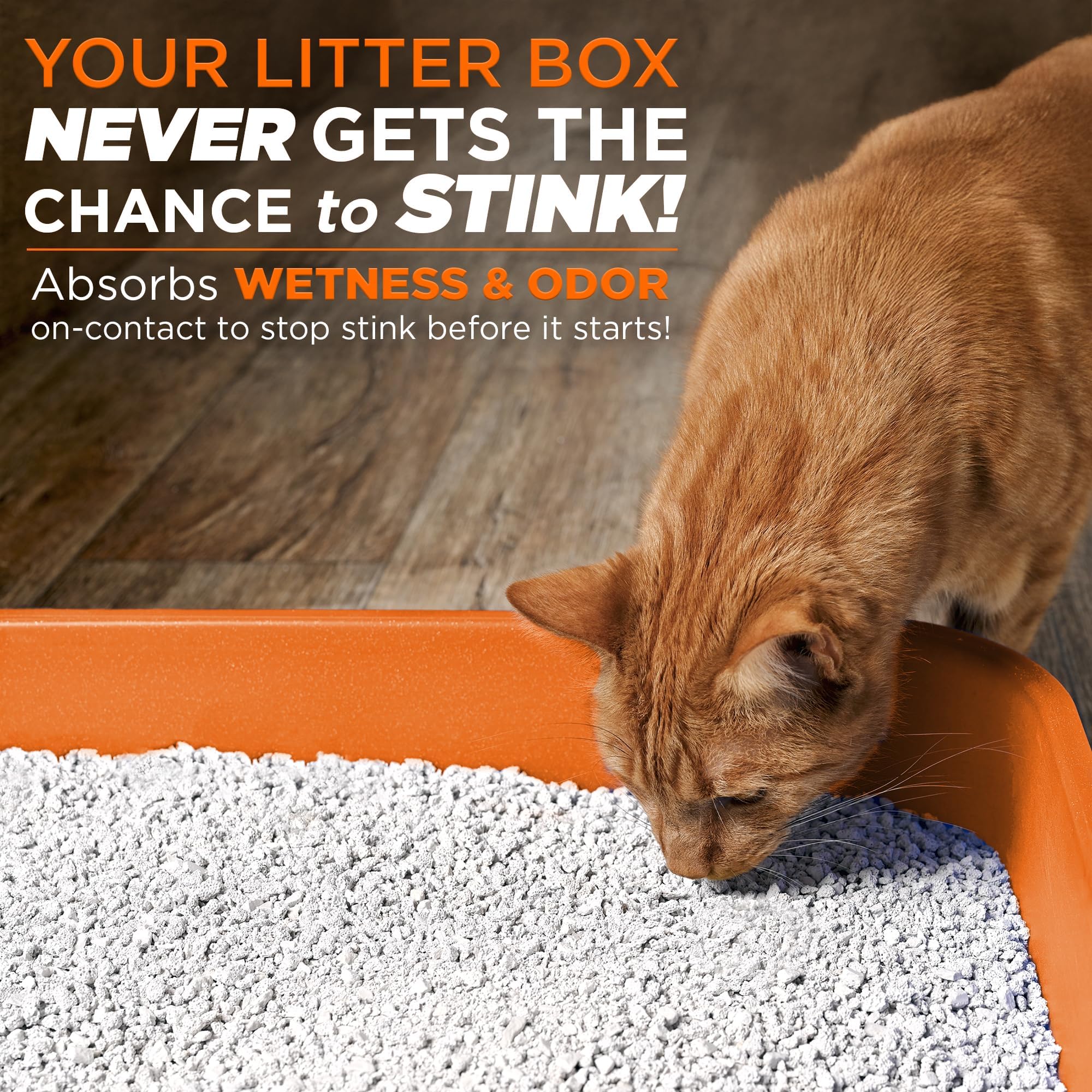 POOPH Litterizer-arena-seca-base mantiene la base de la caja de arena seca.
