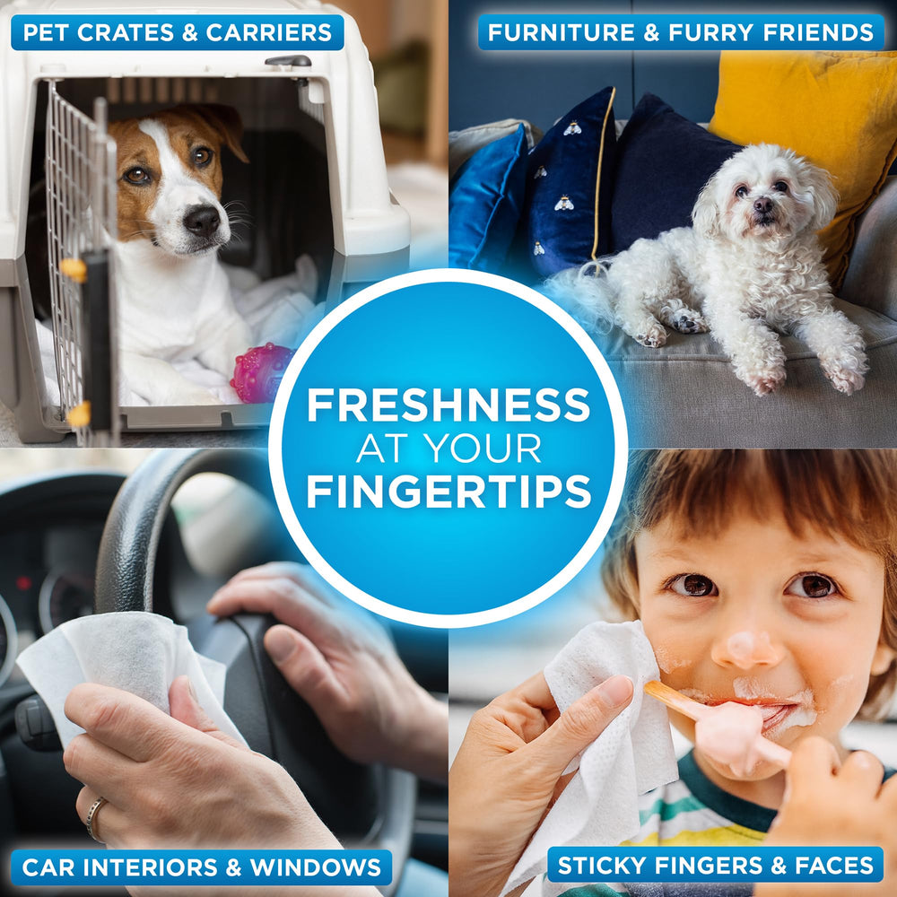 POOPH Pure Wipes práctico para coche y jaulas para control de olores.