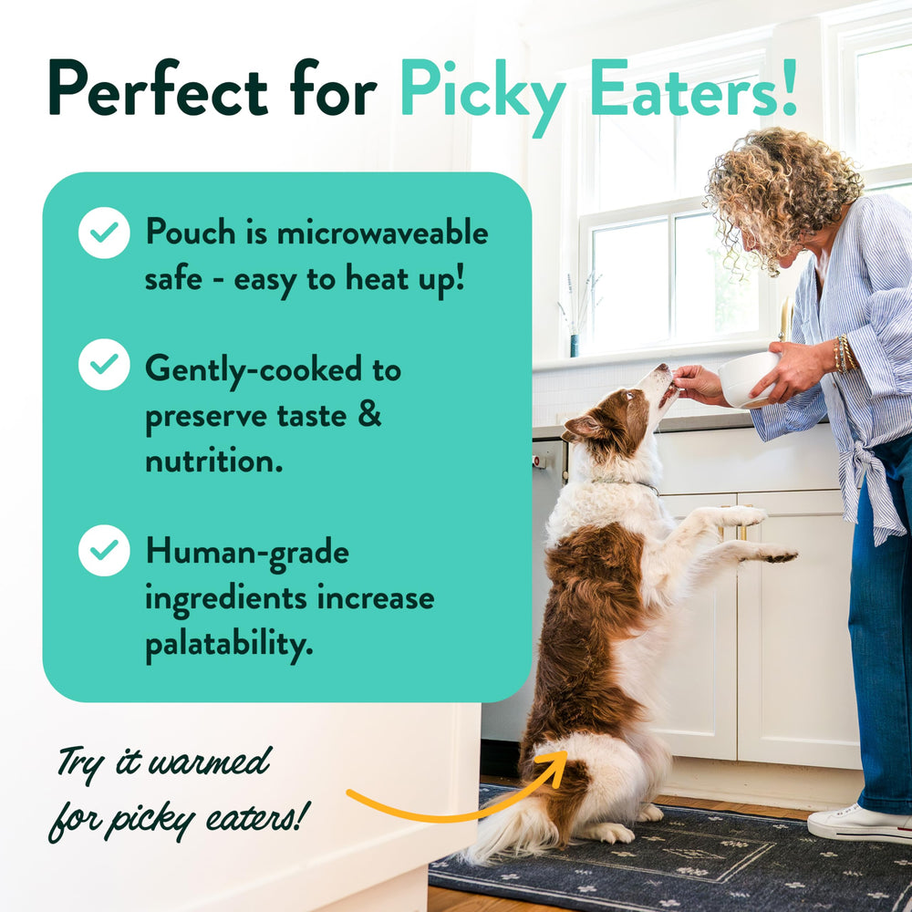 Portland Pet Food Company Variedad 8 Pack, opción conveniente para probar sabores.