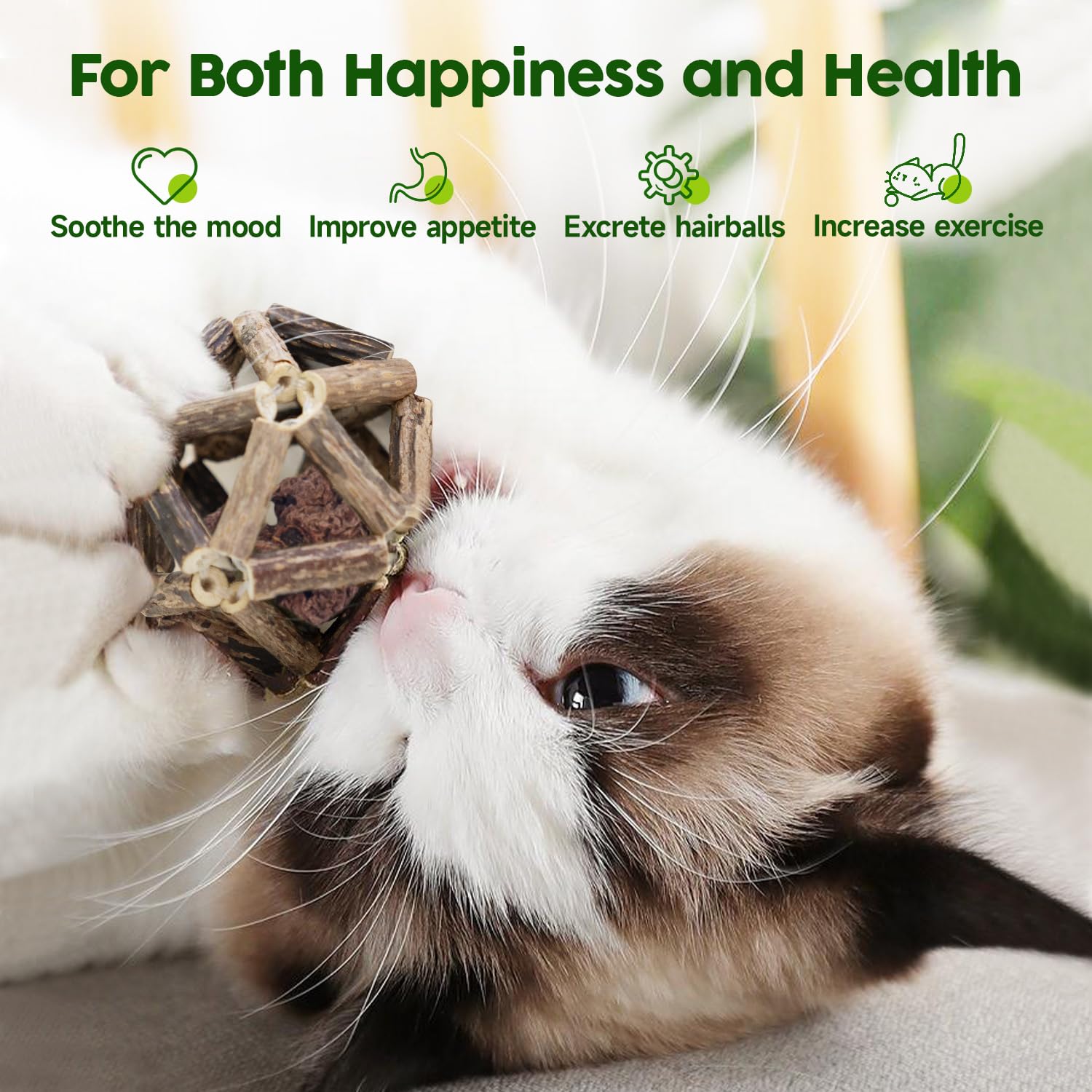 Potaroma bola con catnip y campana, atractiva para juego y curiosidad felina