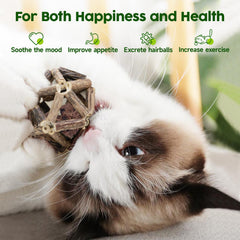Potaroma bola con catnip y campana, atractiva para juego y curiosidad felina