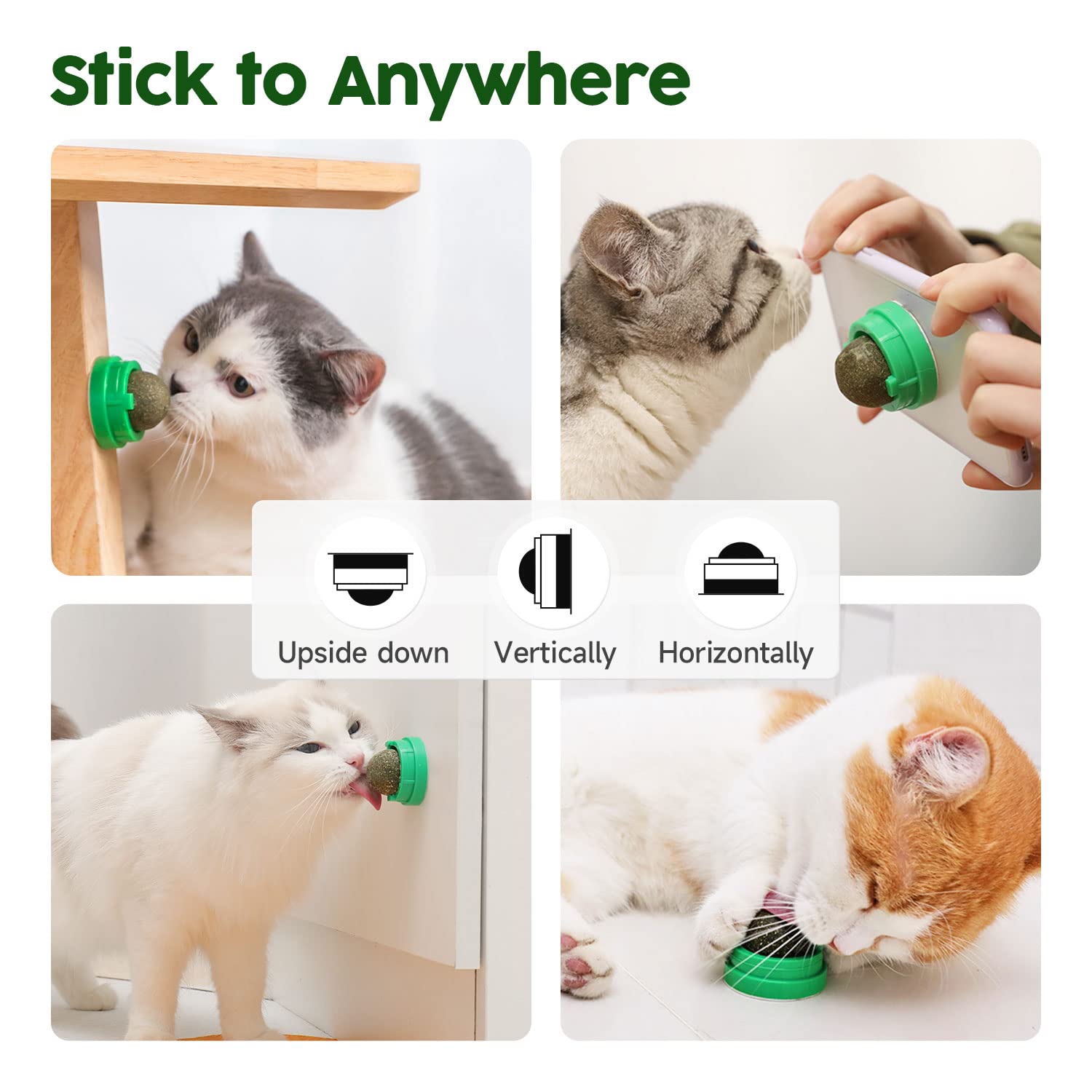 Potaroma bolas de energía para gatos apoyan la actividad física diaria.