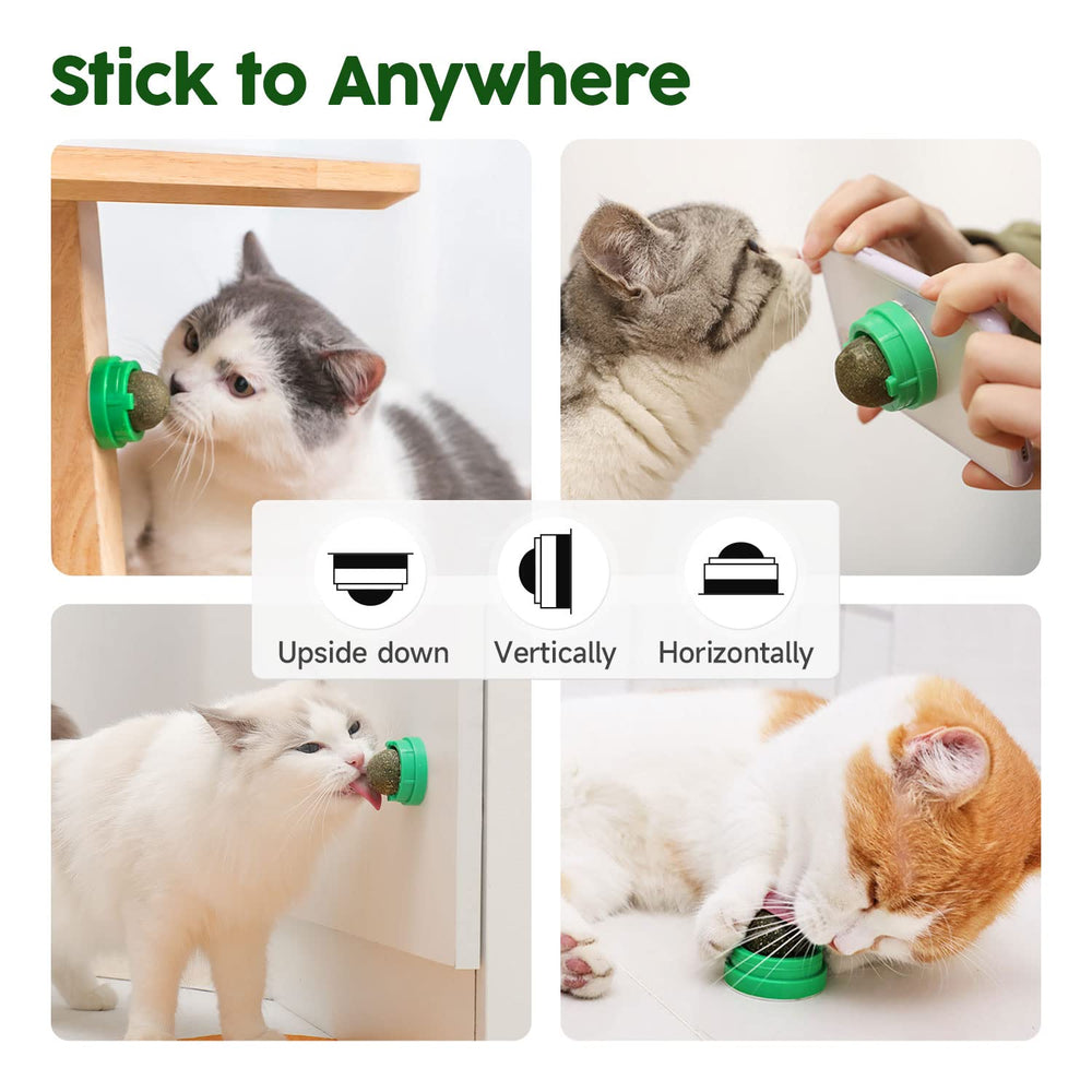 Potaroma bolas de energía para gatos apoyan la actividad física diaria.