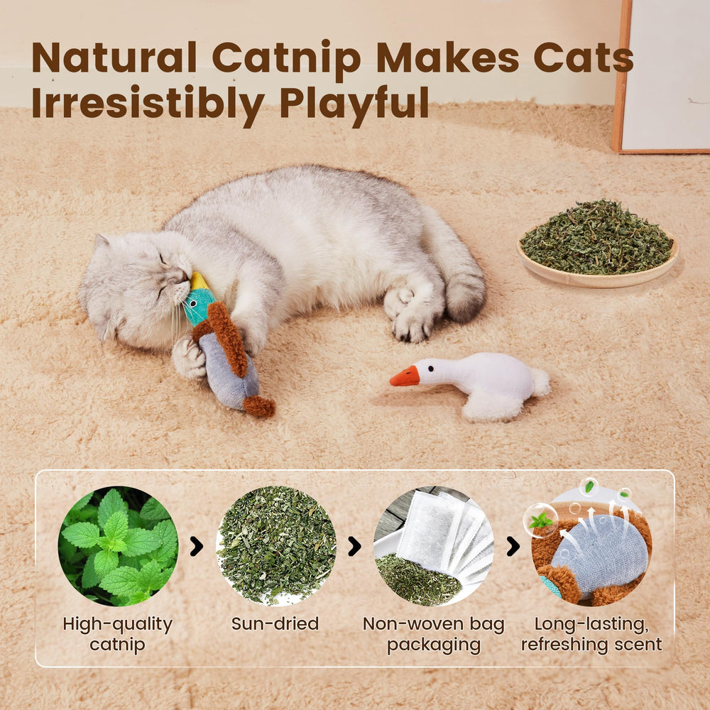 Potaroma Juguetes para gatos con hierba gatera y planta de plata para estimulación.